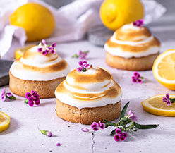 Lemontartelettes mit Zitronenbaiser